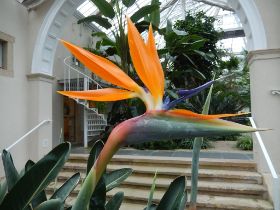 DSCN4870.JPG